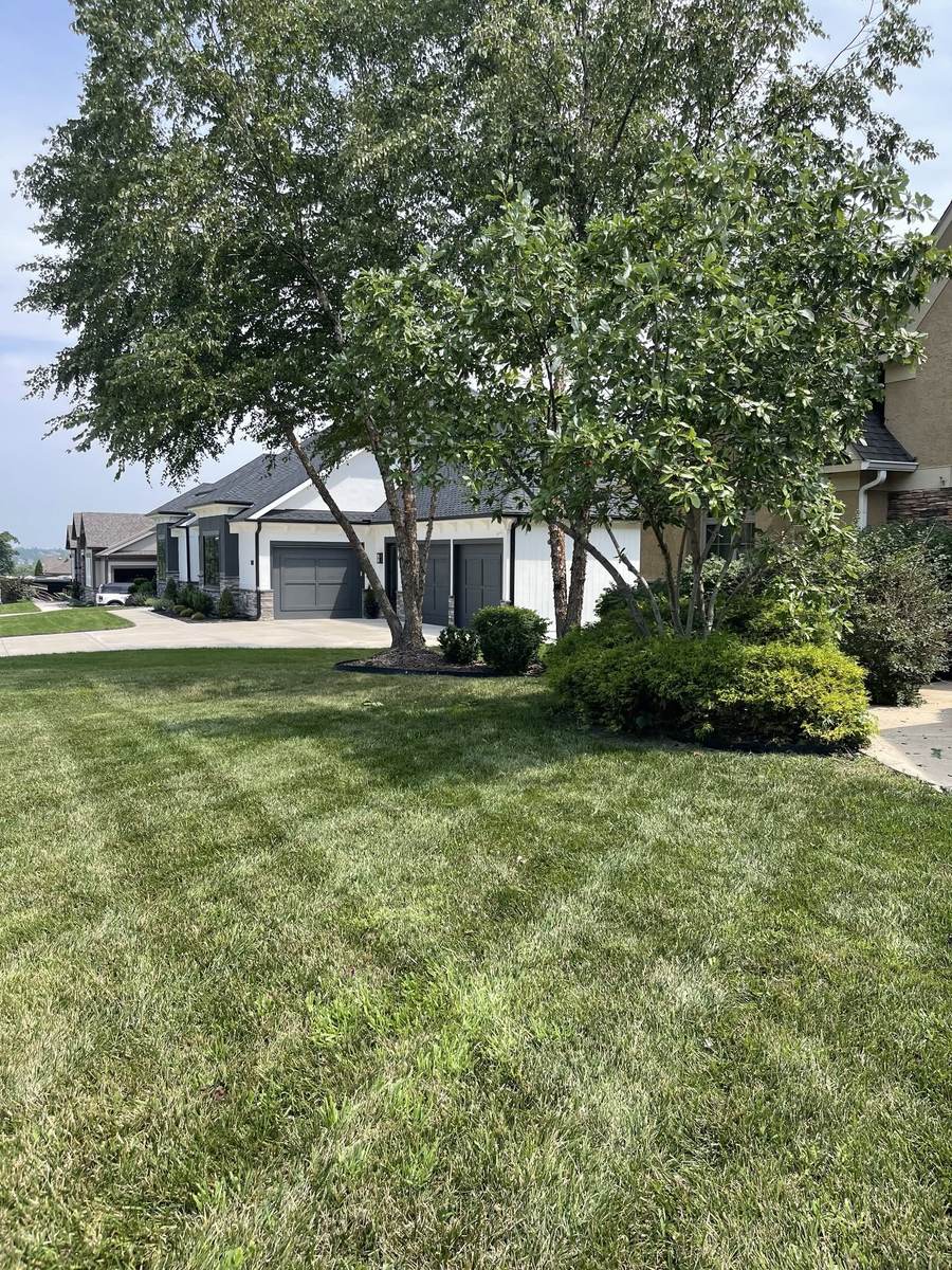 Freshly mowed lawn