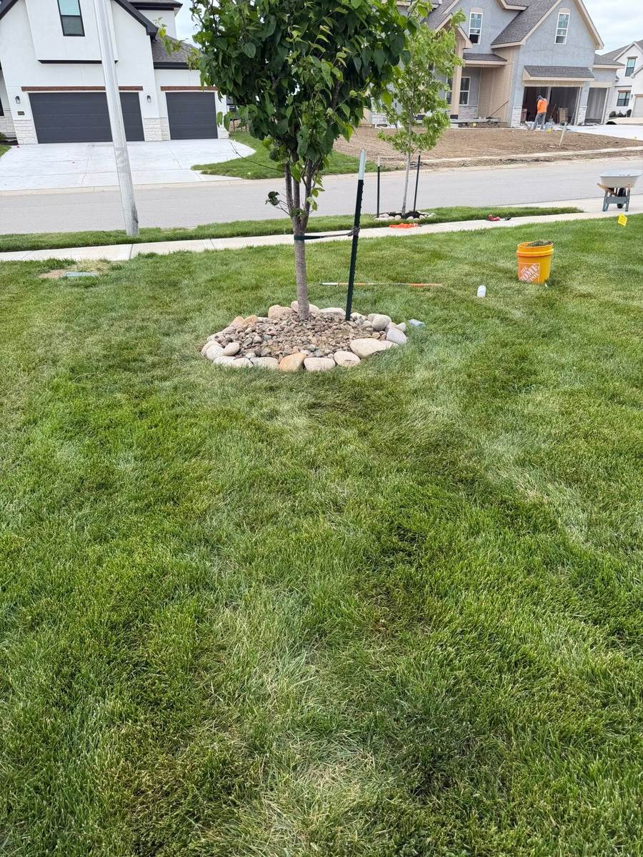 Landscape design with trees and mulch
