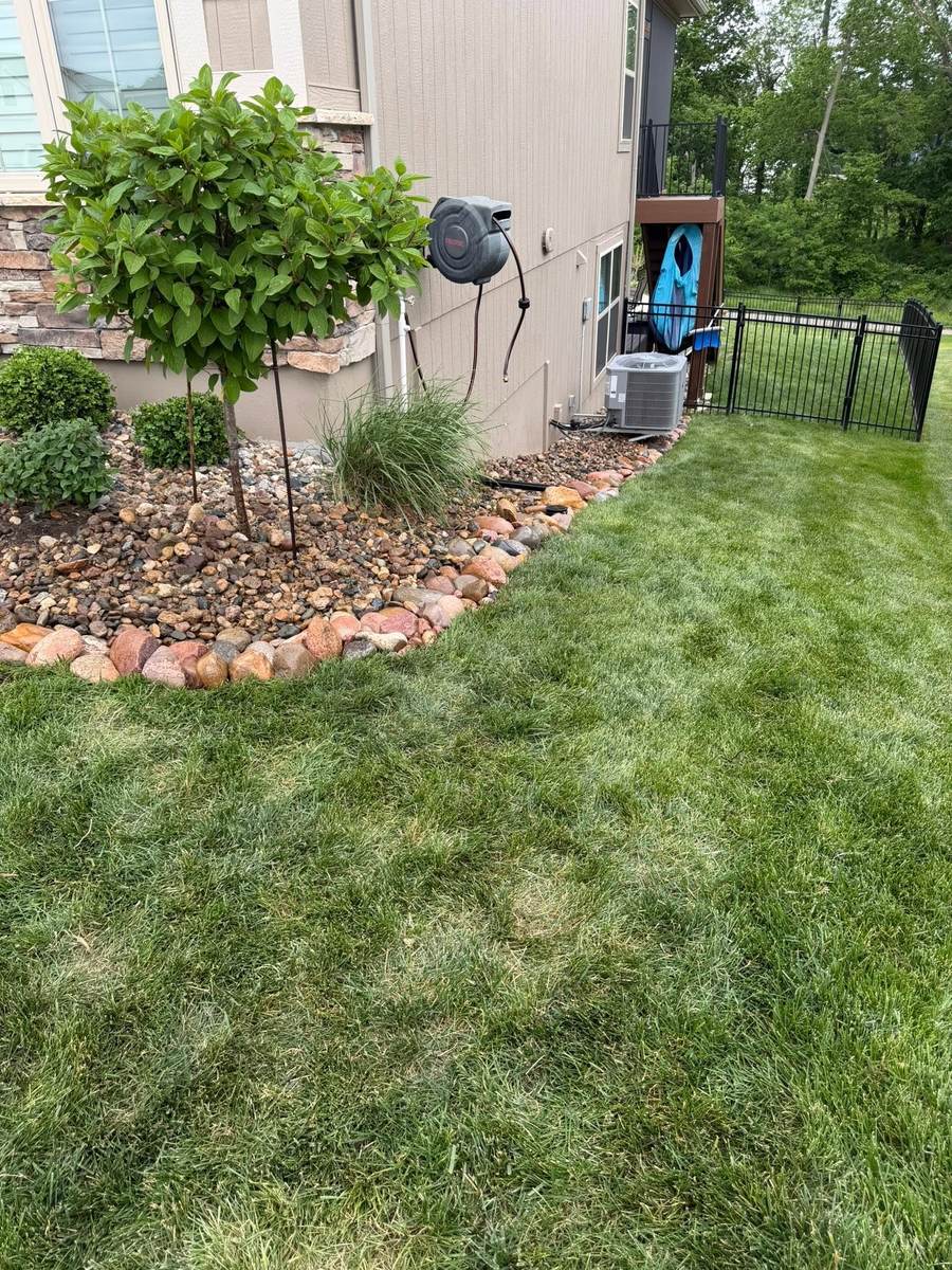 Landscape planting and rock bed